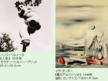 ハンス・ベルメール《人形》 1935年／ゼラチン・シルバー・プリント／25.×26.0cm・イヴ・タンギー《風のアルファベット》
1944年／油彩、カンヴァス／100.0×81.0cm