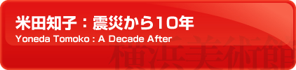 ēcmqFkЂ10N Yoneda Tomoko : A Decade After