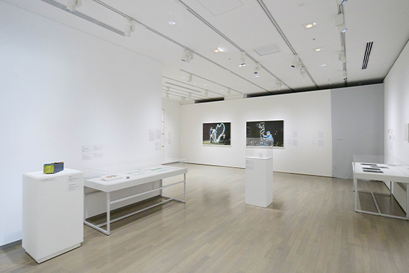 Gallery 8