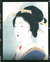 ARAKI Nobuyoshi,Copied Beauty, from 