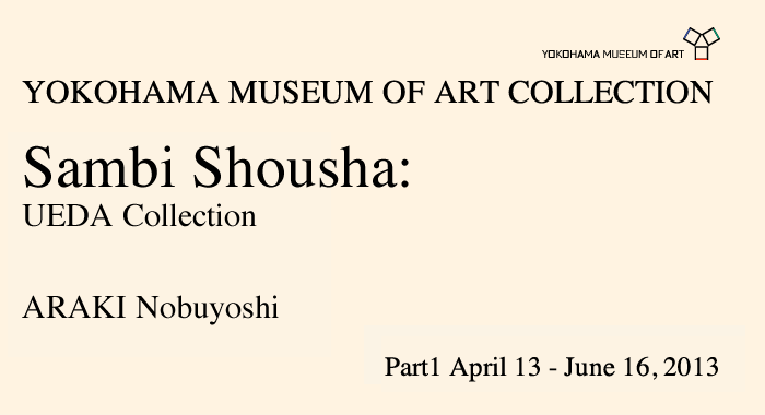 YOKOHAMA MUSEUM OF ART COLLECTION
Part1: April 13 – June 16, 2013
)