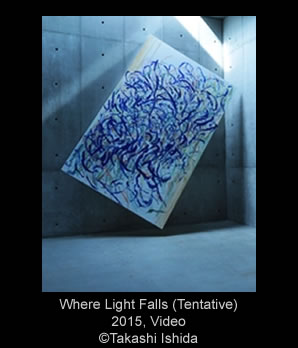 Where Light Falls (Tentative) 2015, Video