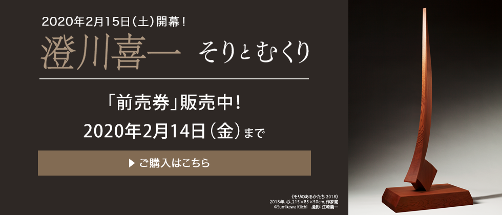 澄川喜一 そりとむくり