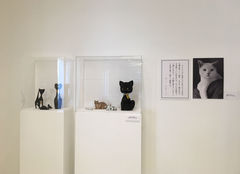 展示の様子