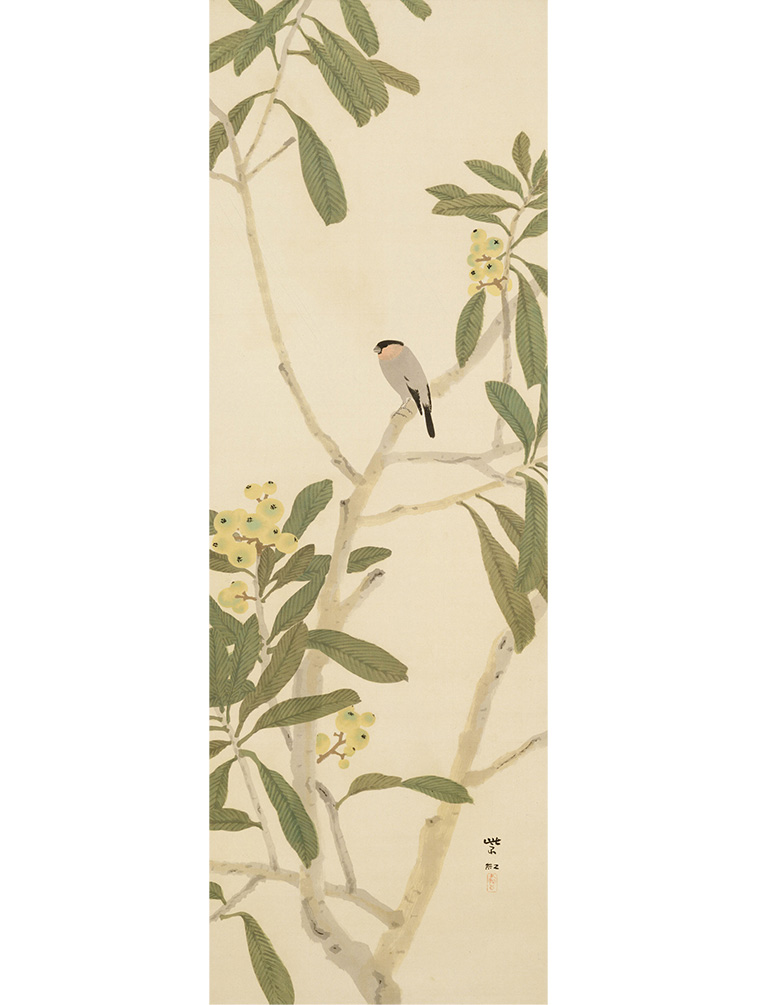 【日本画の革命児 今村紫紅】
今村紫紅《枇杷ニ鷽》